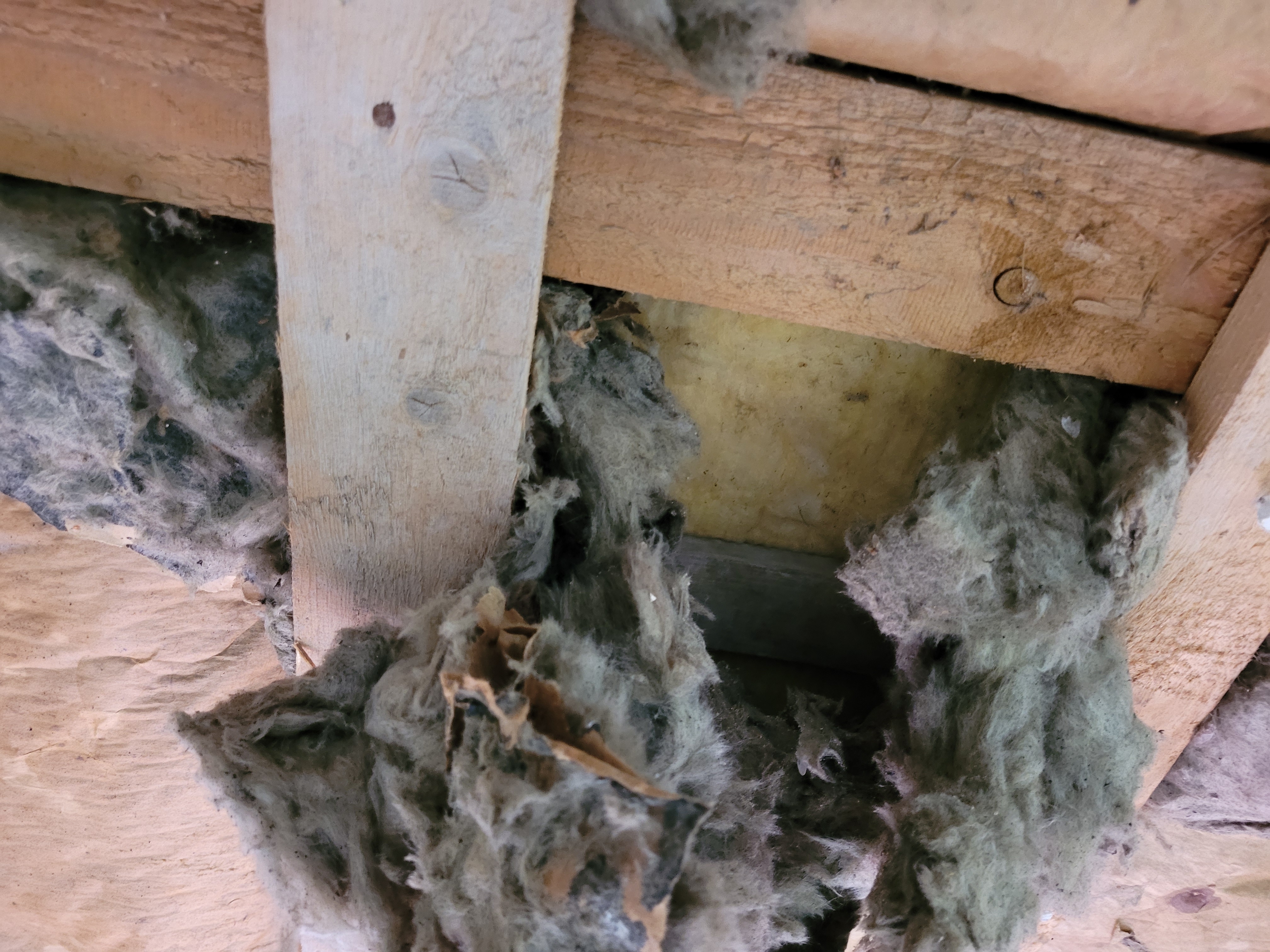 Asbest in Dämmung und Isolierung: So gehst Du vor