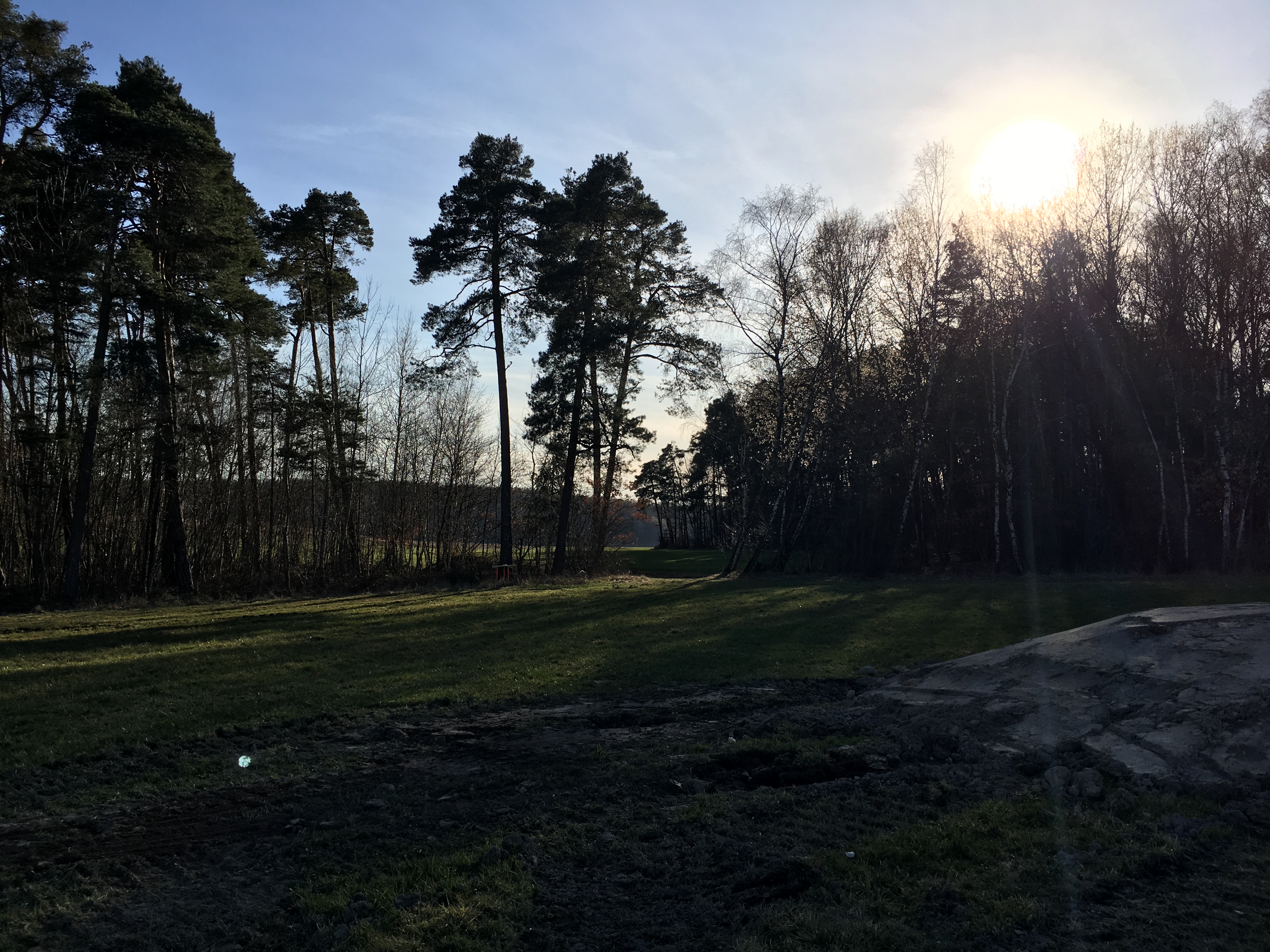 schatten-am-nachmittagfruehen-abend-durch-angrenzenden-wald-314754-2.jpeg